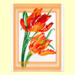 Parrot Tulip with Border invitations