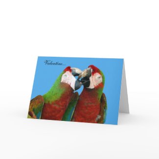 Parrot Valentine Card card