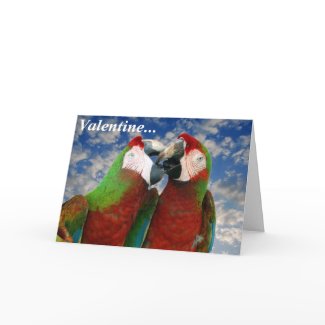 Parrot Valentine Card 003 card