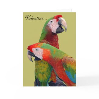 Parrot Valentine Card 007 card