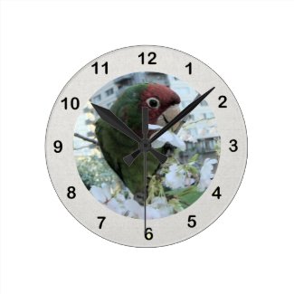 Parrot Wall Clock