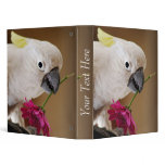 Parrot with he loves me he loves me not binders