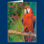 Parrot with Seagrapes cards