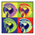 Parrotheads posters by unkskitty Parrotheads posters