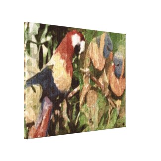 Parrots2 Stretched Canvas Print