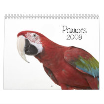 parrots 2008 calendar
