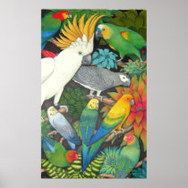 Parrots and Bromeliads Posters