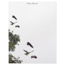 Parrots Christmas 2009 Letterhead
