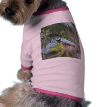 Parrots pet clothing by lifesphere Parrots pet clothing