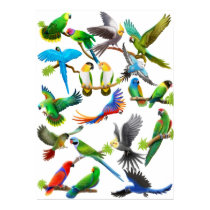 Parrots Galore Poster posters by twopurringcats Parrots Galore Poster posters
