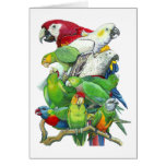 Parrots Greeting Card
