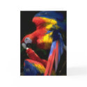 Parrots In Love Card
