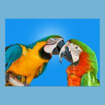Parrots in Love Print