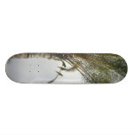 Parrots In Palm Tree Skateboard Deck