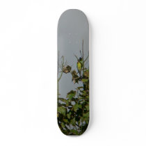 Parrots In Tree Top skateboards by lifesphere Parrots In Tree Top skateboards