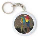 Parrots Key Chain
