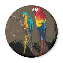 Parrots Magnets