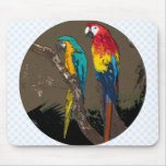 Parrots Mouse Pads