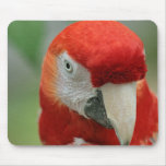 Parrots of the Caribbean Mouse Mats