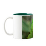 Parrots of the Caribbean Part Two Coffee Mug