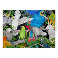 Parrots of the World Card