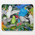 Parrots of the World mousepad