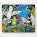 Parrots of the World mousepads