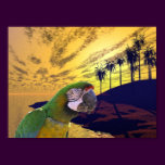 Parrots Paradise