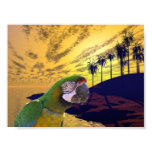 Parrots Paradise