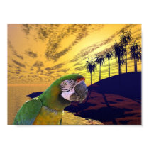 Parrots Paradise posters