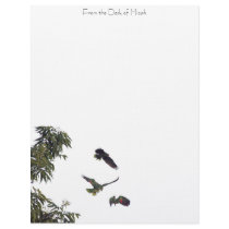 Parrots Personalized Letterhead