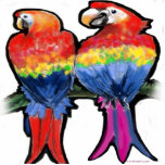 Parrots Photo Sculptures