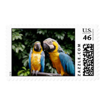 Parrots postage by katymanrique Parrots postage