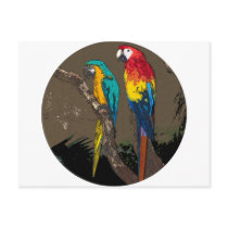 Parrots Post Cards
