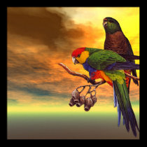 Parrots posters