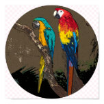Parrots Print