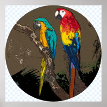 Parrots Posters