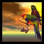Parrots posters
