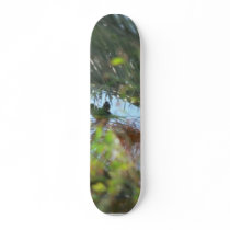 Parrots skateboards by lifesphere Parrots skateboards
