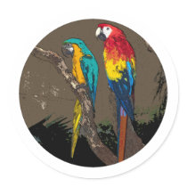 Parrots Round Stickers