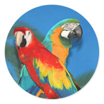 Parrots X stickers