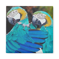 Parrott Twins Magnet by lapatrick1161 Parrott Twins Magnet