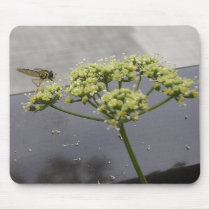 Parsley flower with insect mousepad mousepads