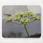 Parsley flower with insect mousepad
