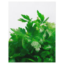 Parsley flyers