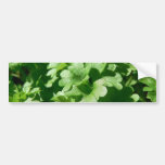 Parsley Green Bumper Sticker