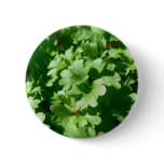 Parsley Green Buttons