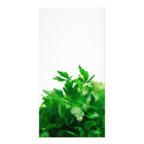 Parsley photo cards by gavila_pt Parsley photo cards
