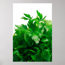 Parsley Poster