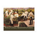 Parsley, Sage, Rosemary, and Thyme posters